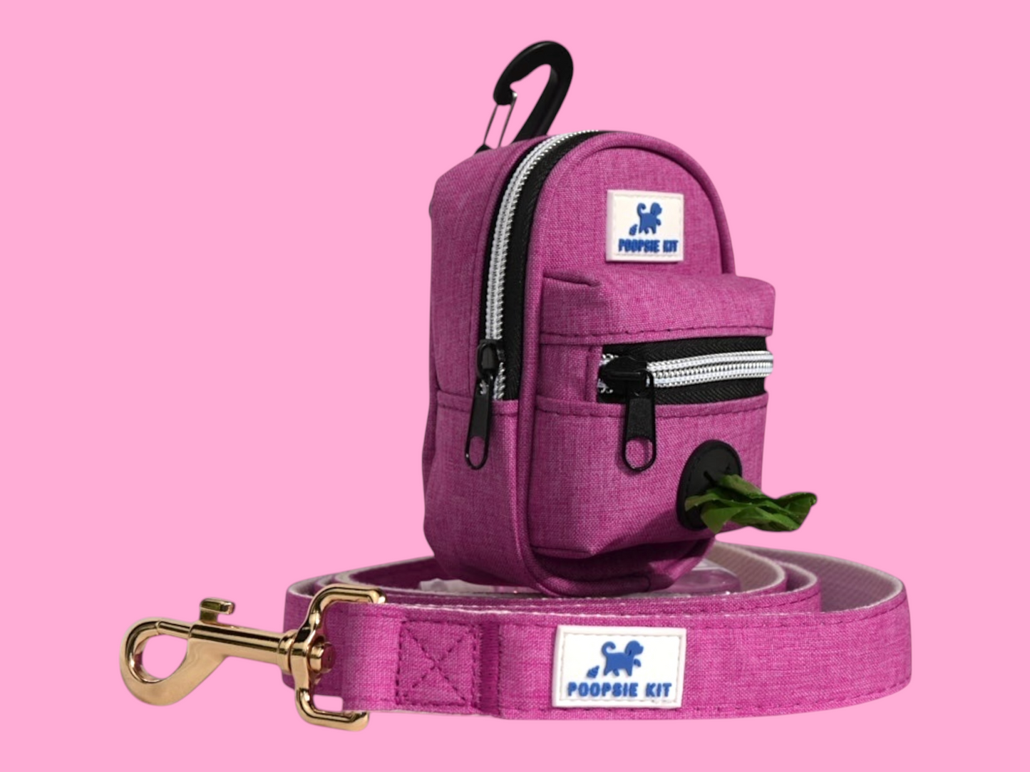 The Ultimate Dog Poop Bag Dispenser with Matching Premium Dog Leash and Waste Bag Holder, Plus Eco-Friendly Cleaning Kit for Puppy to Adult Dogs for Responsible Travel, Walking, Hiking, and Adventures.